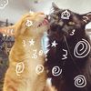 moss.and.jaxx3