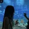 .hwansyz