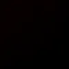 brat_2nozx