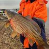 fishkz2