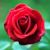 user3311023306900