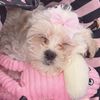 littlemisskskyy