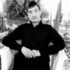 zzf811_