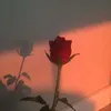 aliyah_13_10