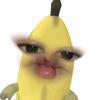 scndcha2_