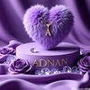 adnan.farooq573
