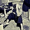 berkah_sapi1