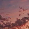 rez0264