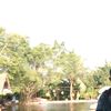 seethefuturee