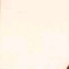 lily.rose726