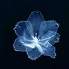 purpleflower2448