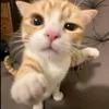 kyutiee7777