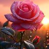anushka.roy106