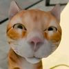 ytta123...gata