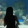 rae