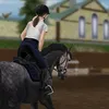 barn.amayaa