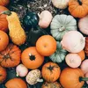 fallvibesxm