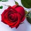 user3070276918745