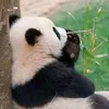 echhebwechcbwh0