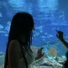 douxnoob2