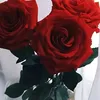 sela__07