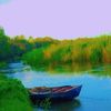 ismail.ahmed.abdu6