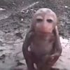 tu_abuelaen_tanga2