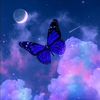 butterfly34021