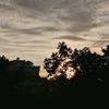 shan_shan088
