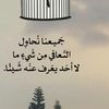 user25554861868787