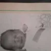 silkie97