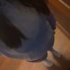 meghan_m3535