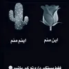 afg.hzr1