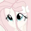 augh365