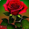 user2814416005150