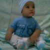 tommy.tomate5