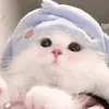 du.ty4498