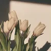 anais.el6