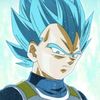 gokuvegita13