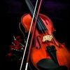 alvarosoler258