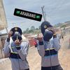 arabians84
