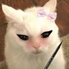 yara.gmz7