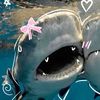 sharksarecuties7