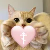 im.never.saraious1