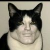 sigma_cat060
