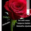 user7490524815050