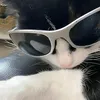 user_6not_6found6