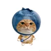 long.nhong.0