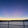 monty_240