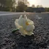 userr.311218